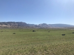 2021 Hay - Escalante Ranch Utah