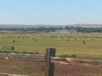 2021 Hay - Escalante Ranch Utah