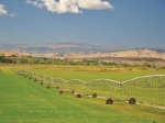 Escalante Ranch Utah Hay
