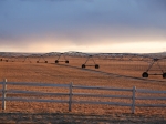 Escalante Ranch Utah Farming