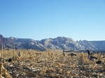 Waterfowl Youth Hunting - Escalante Ranch Utah